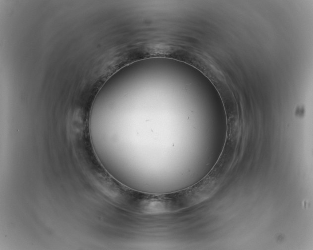 X0000091300655200708172209