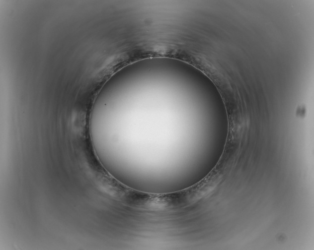 X0000091300656200708172209