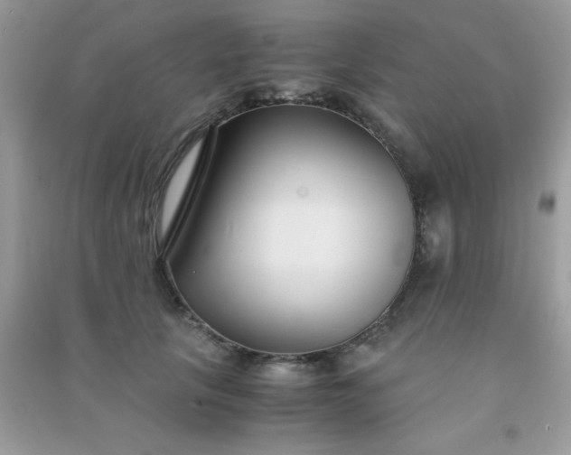 X0000091300657200708172209