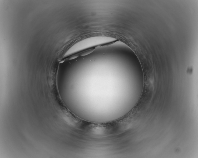 X0000091300658200708172209