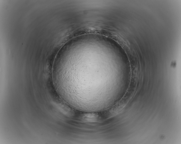 X0000091300659200708172209