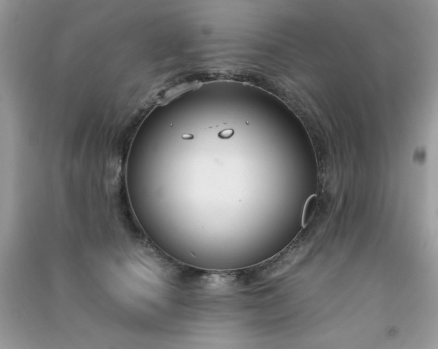 X0000091300660200708172209