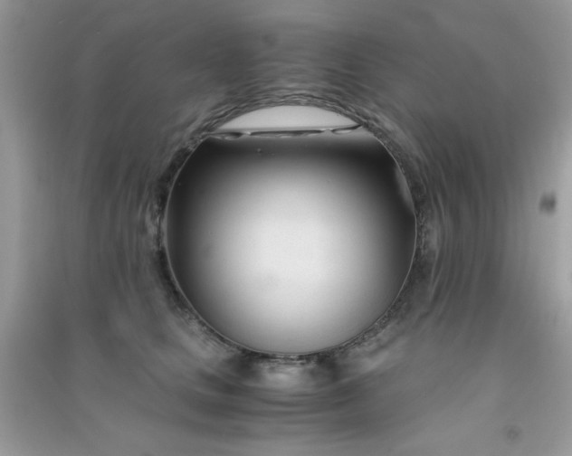 X0000091300661200708172209