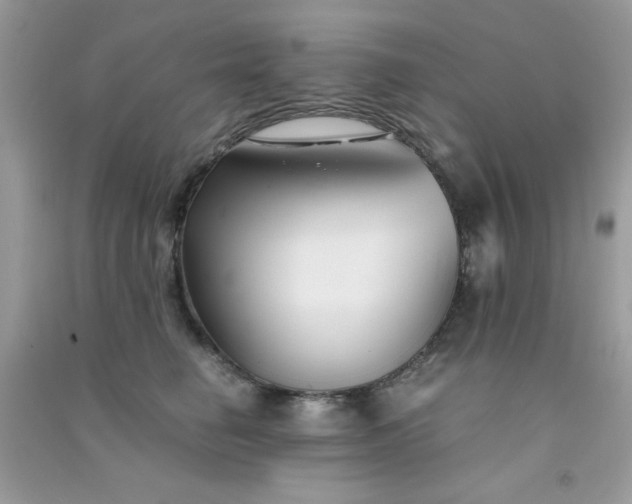 X0000091300662200708172209