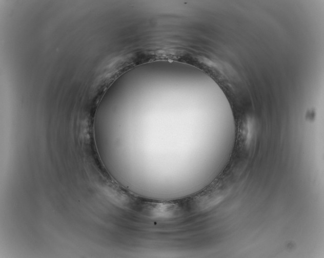 X0000091300663200708172209