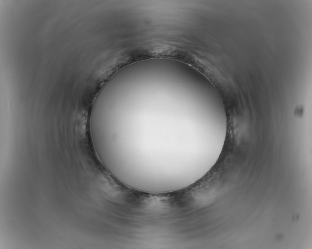 X0000091300664200708172209