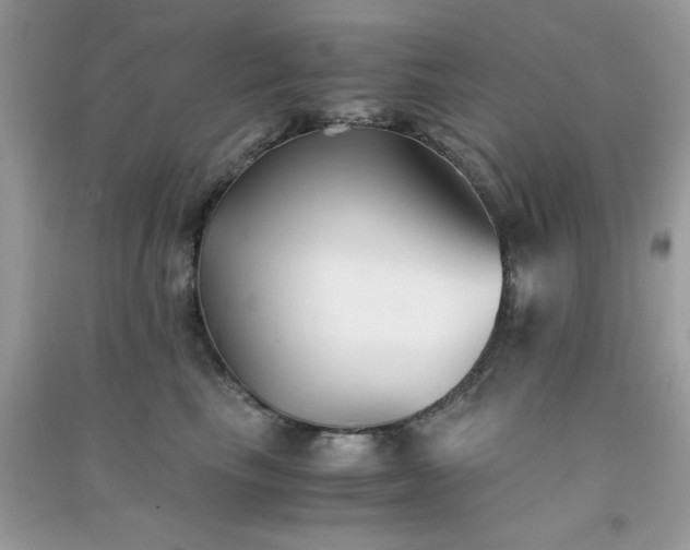 X0000091300665200708172210