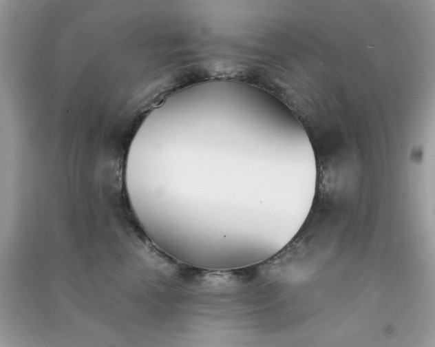 X0000091300666200708172210