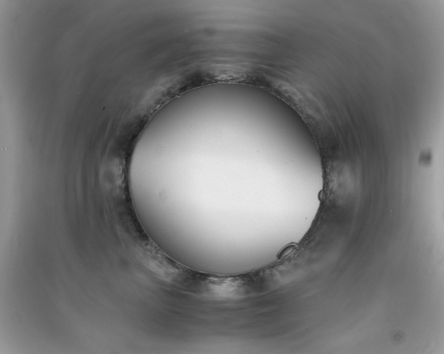 X0000091300667200708172210