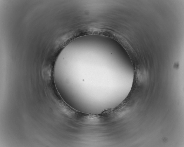 X0000091300668200708172210