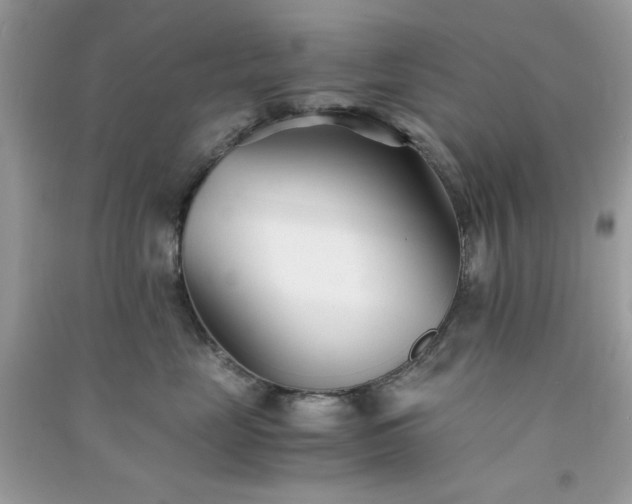 X0000091300669200708172210