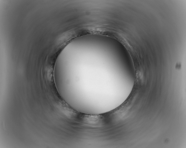 X0000091300671200708172210