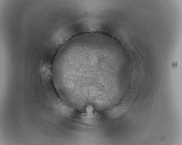 X0000091300672200708172210