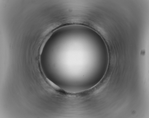 X0000091300673200708172209