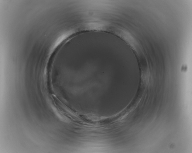 X0000091300674200708172209