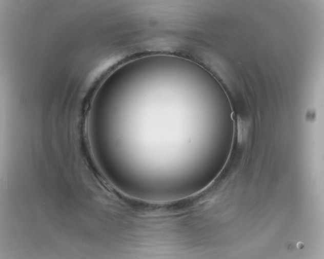 X0000091300675200708172209