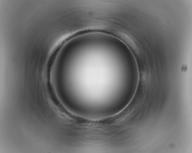 X0000091300676200708172209