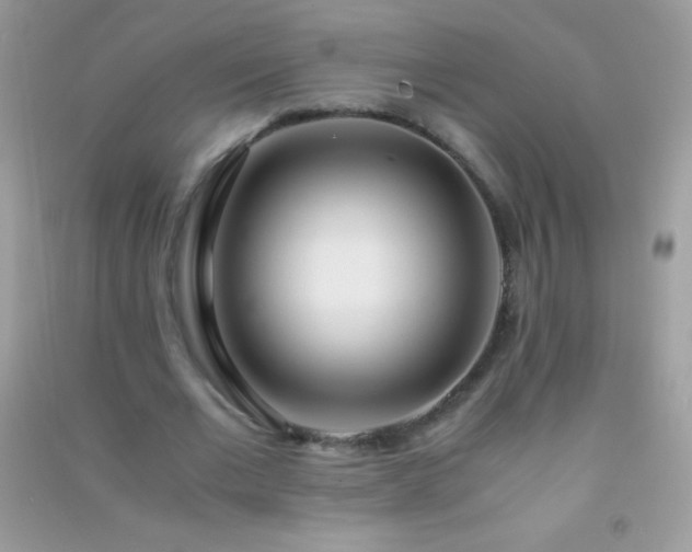 X0000091300677200708172209