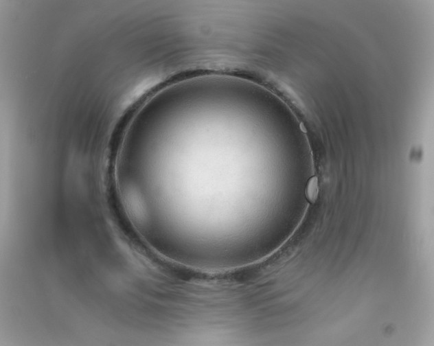 X0000091300679200708172209