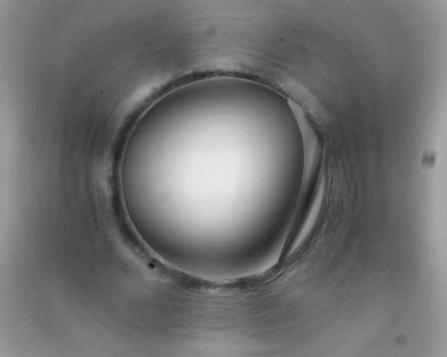 X0000091300680200708172209