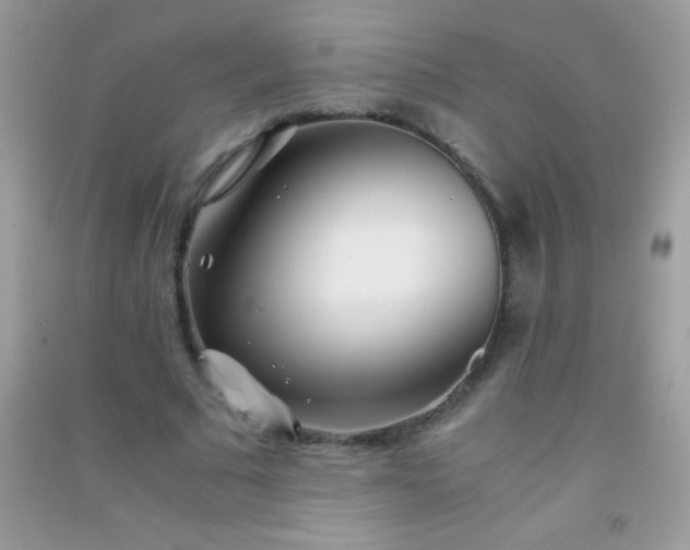 X0000091300681200708172209