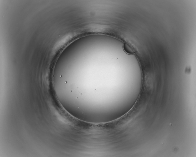 X0000091300682200708172209