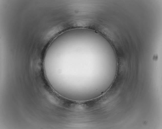 X0000091300683200708172209