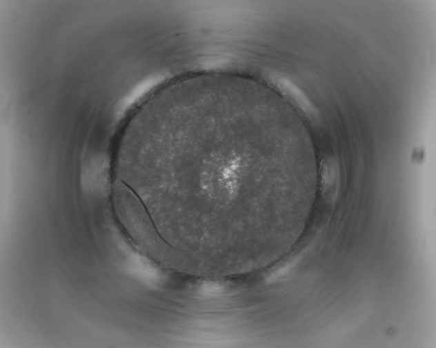 X0000091300684200708172209