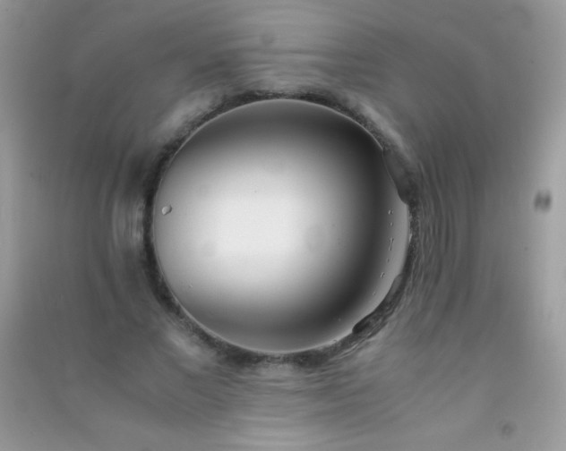 X0000091300685200708172209