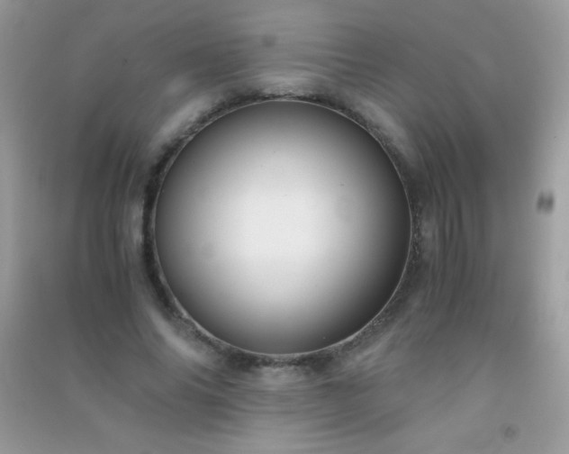 X0000091300686200708172209