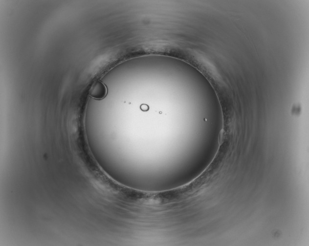 X0000091300687200708172209