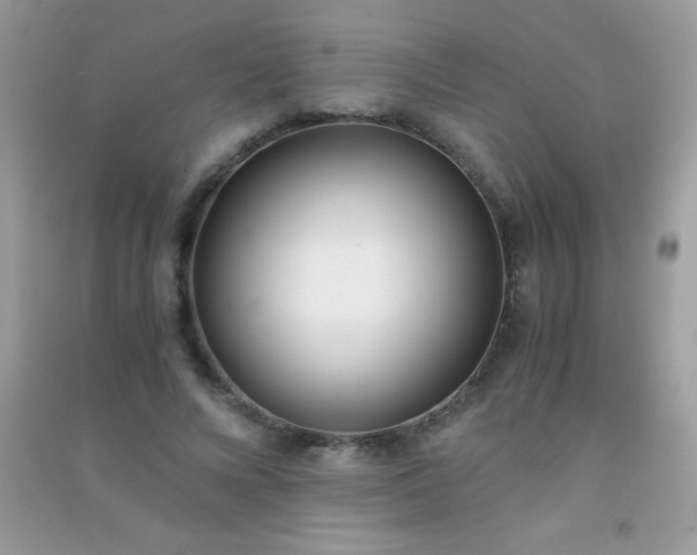 X0000091300688200708172209