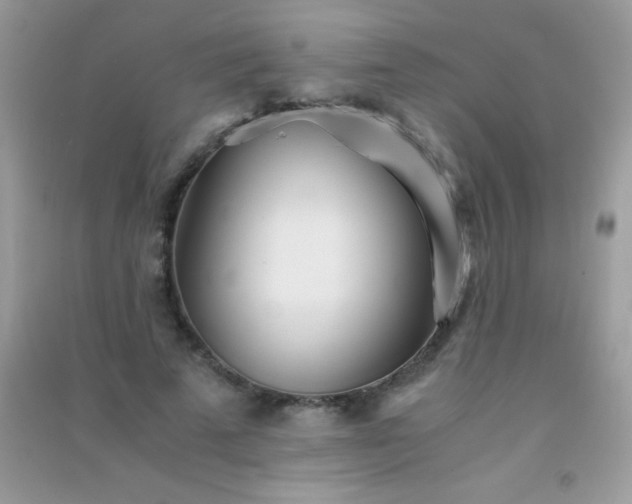 X0000091300689200708172209