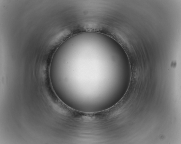 X0000091300690200708172209