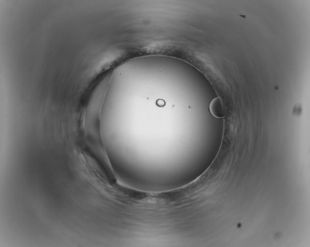 X0000091300691200708172209