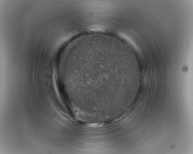 X0000091300692200708172209