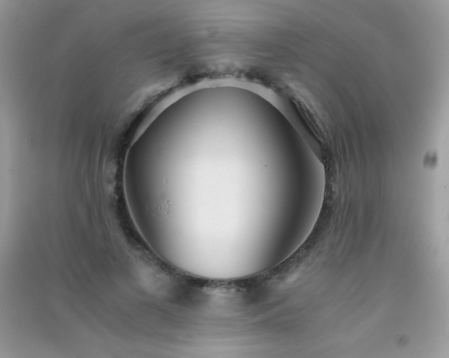 X0000091300693200708172209