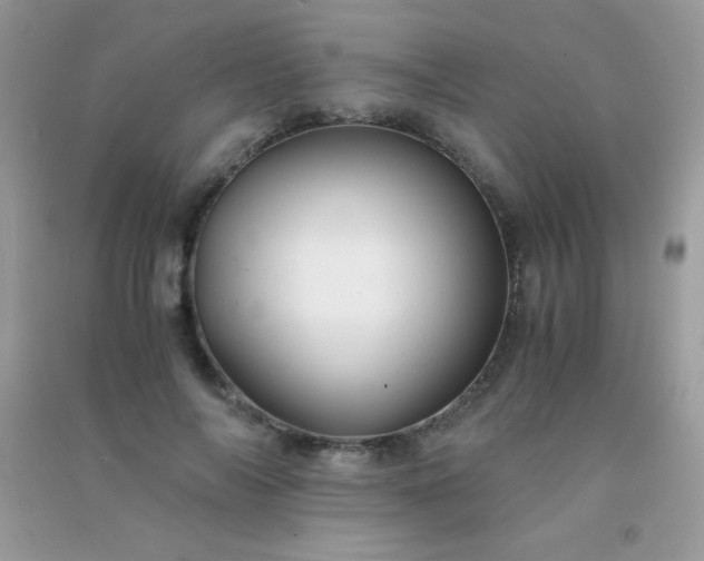 X0000091300694200708172209