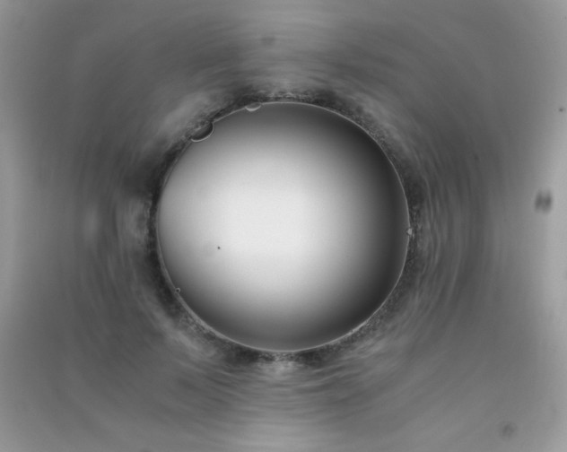 X0000091300695200708172209