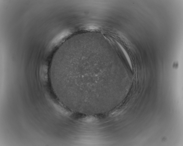 X0000091300696200708172209