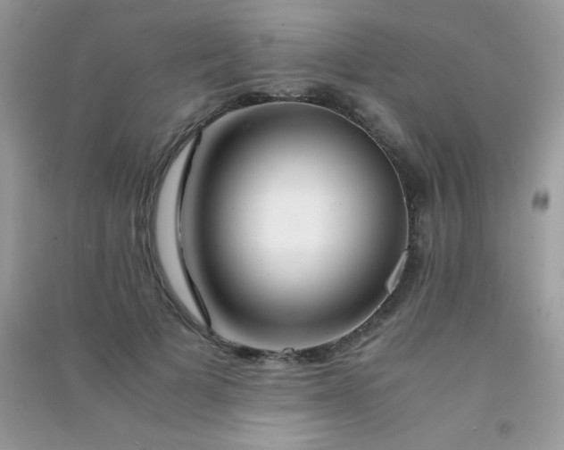 X0000091300697200708172209