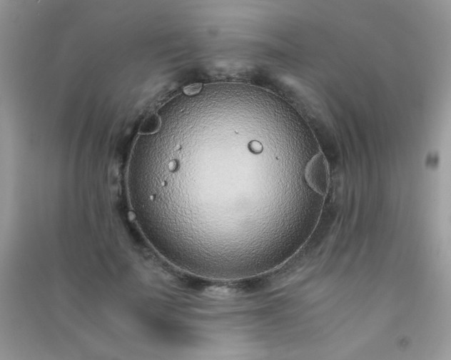 X0000091300699200708172209