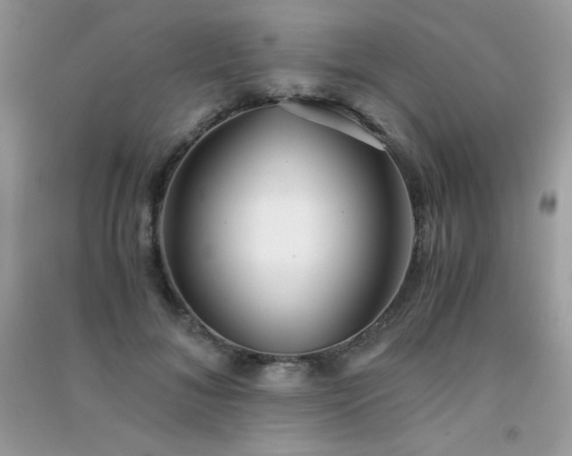 X0000091300700200708172209