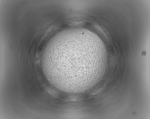 X0000091300701200708172209