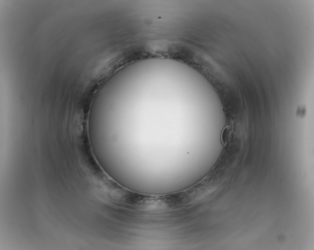 X0000091300702200708172209