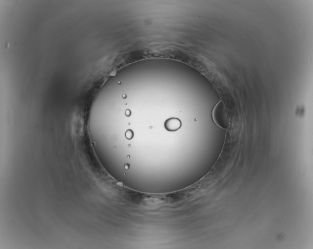 X0000091300703200708172209