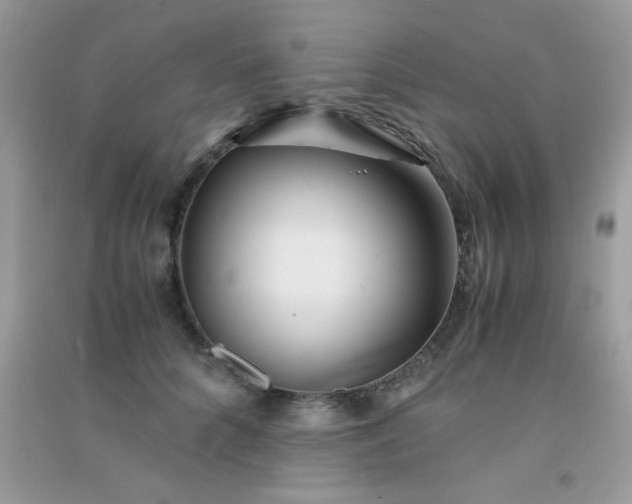 X0000091300704200708172209