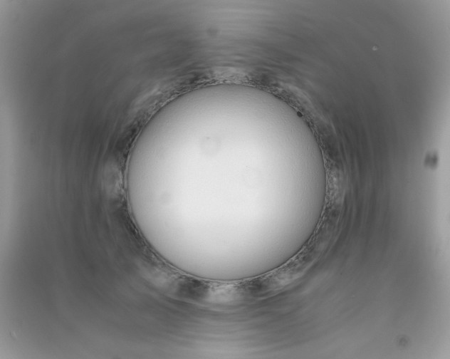 X0000091300705200708172209