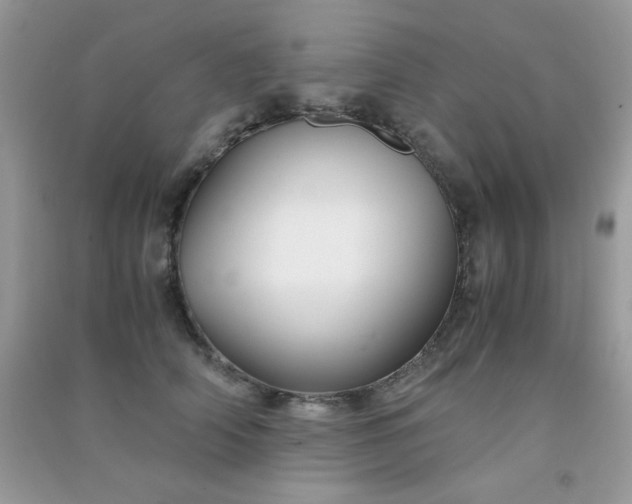 X0000091300706200708172209