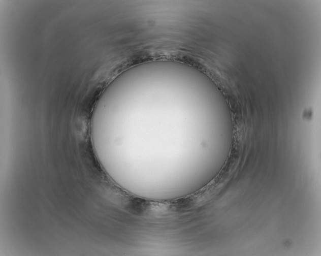 X0000091300709200708172209